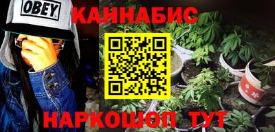 индика Моздок