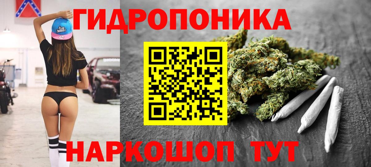 Шишки марихуана план Энгельс